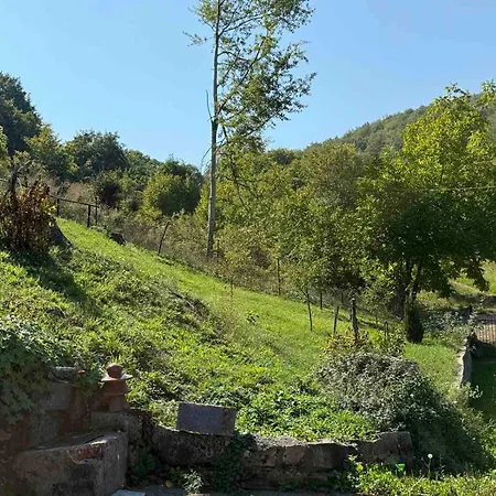 Sumski Mir Hébergement de vacances