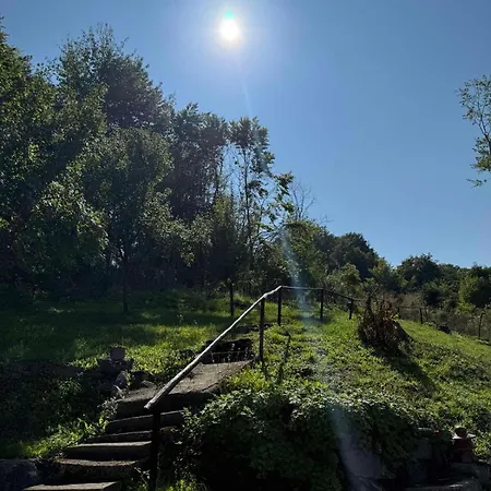 Hébergement de vacances Sumski Mir Despotovac