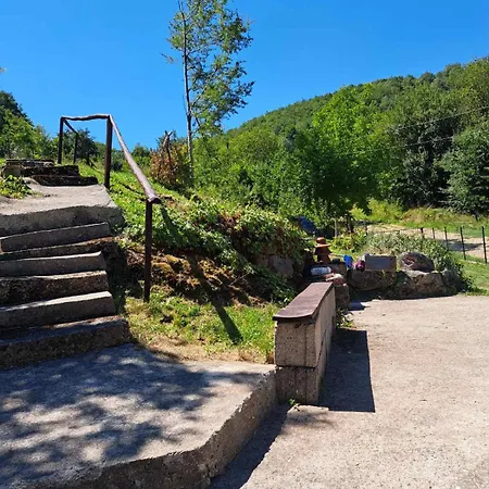 Sumski Mir Despotovac