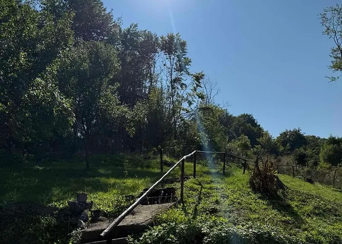 度假居 Sumski Mir 代斯波托瓦茨