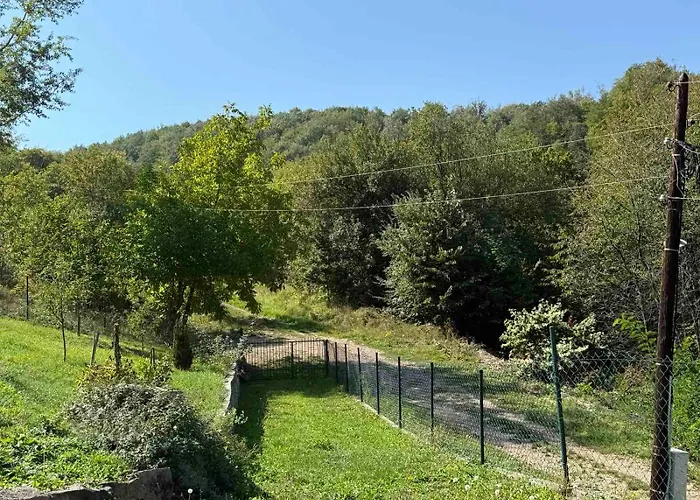 Sumski Mir 度假居